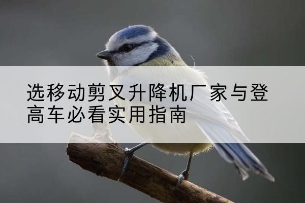相城电动升降机厂家-选移动剪叉升降机厂家与登高车必看实用指南