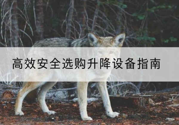 相城升降货梯厂家推荐-*安全选购升降设备指南