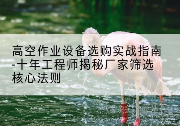 相城剪叉式升降机厂家-高空作业设备选购实战指南-十年工程师揭秘厂家筛选核心法则